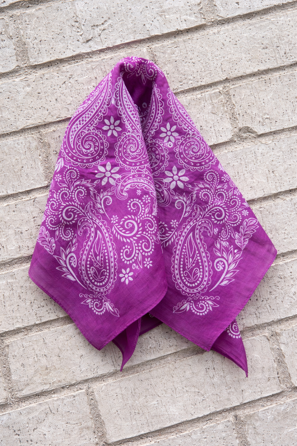 Wild Orchid Paisley Scarf