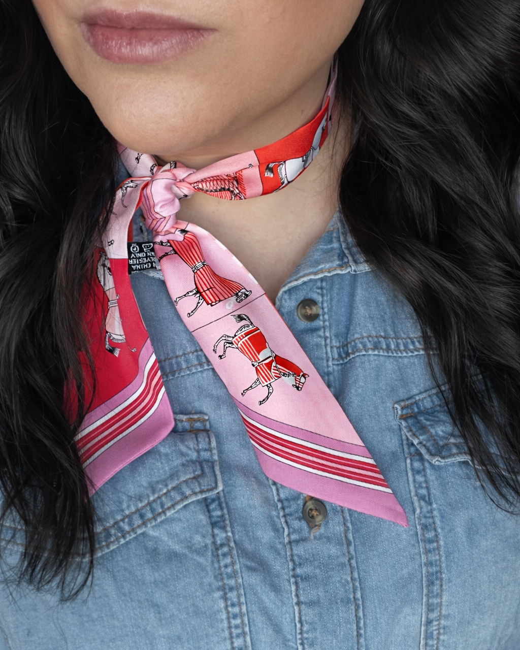 Carriage Twilly Scarf