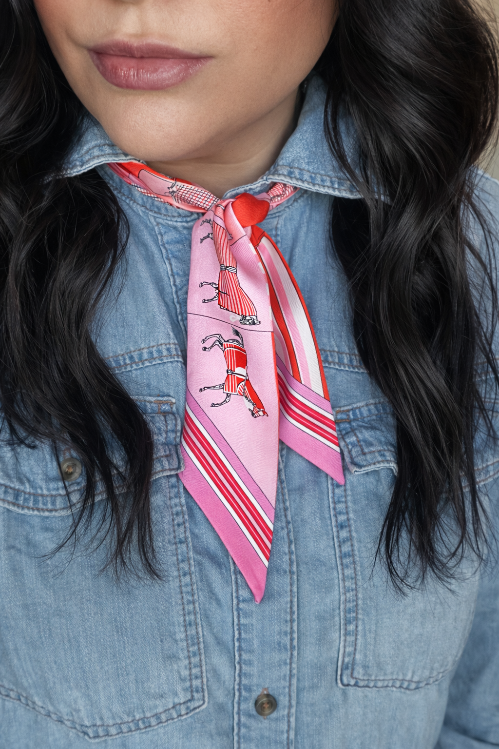 Carriage Twilly Scarf