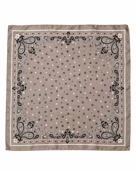 Paisley Silky Square Scarf