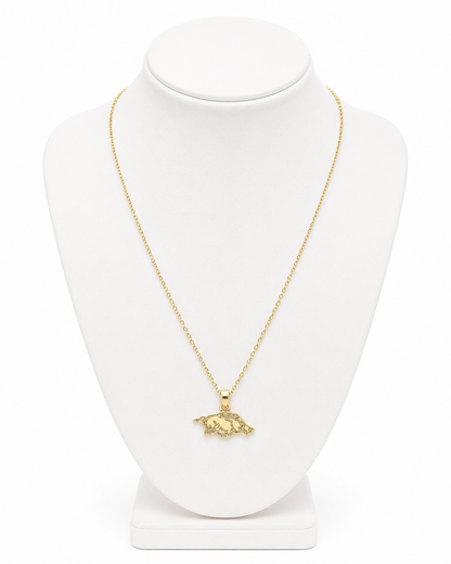 Arkansas Razorbacks 24K Gold Plated Delicate Necklace