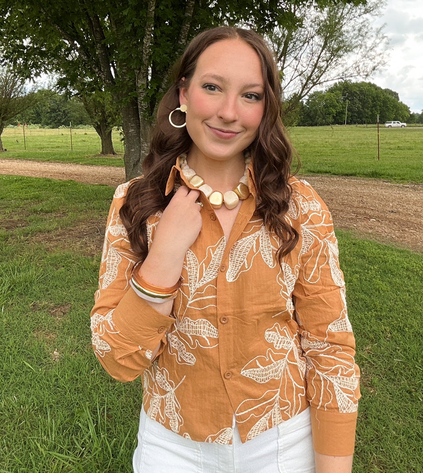 Embroidered Long Sleeve Top - Brown